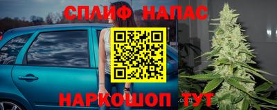 ГАЛЛЮЦИНОГЕННЫЕ ГРИБЫ Гусев