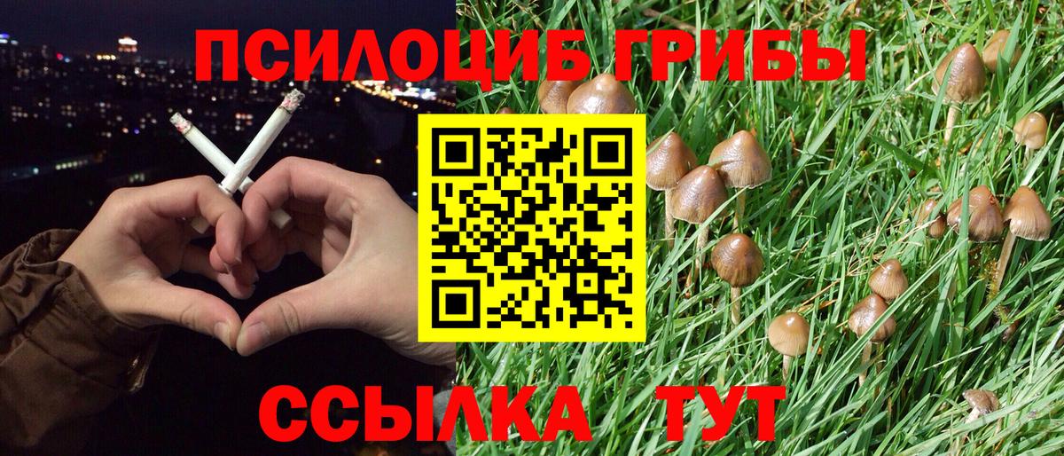 Псилоцибиновые грибы GOLDEN TEACHER  Псилоцибиновые грибы MAGIC MUSHROOMS  Вход с VPN  Новоалтайск 